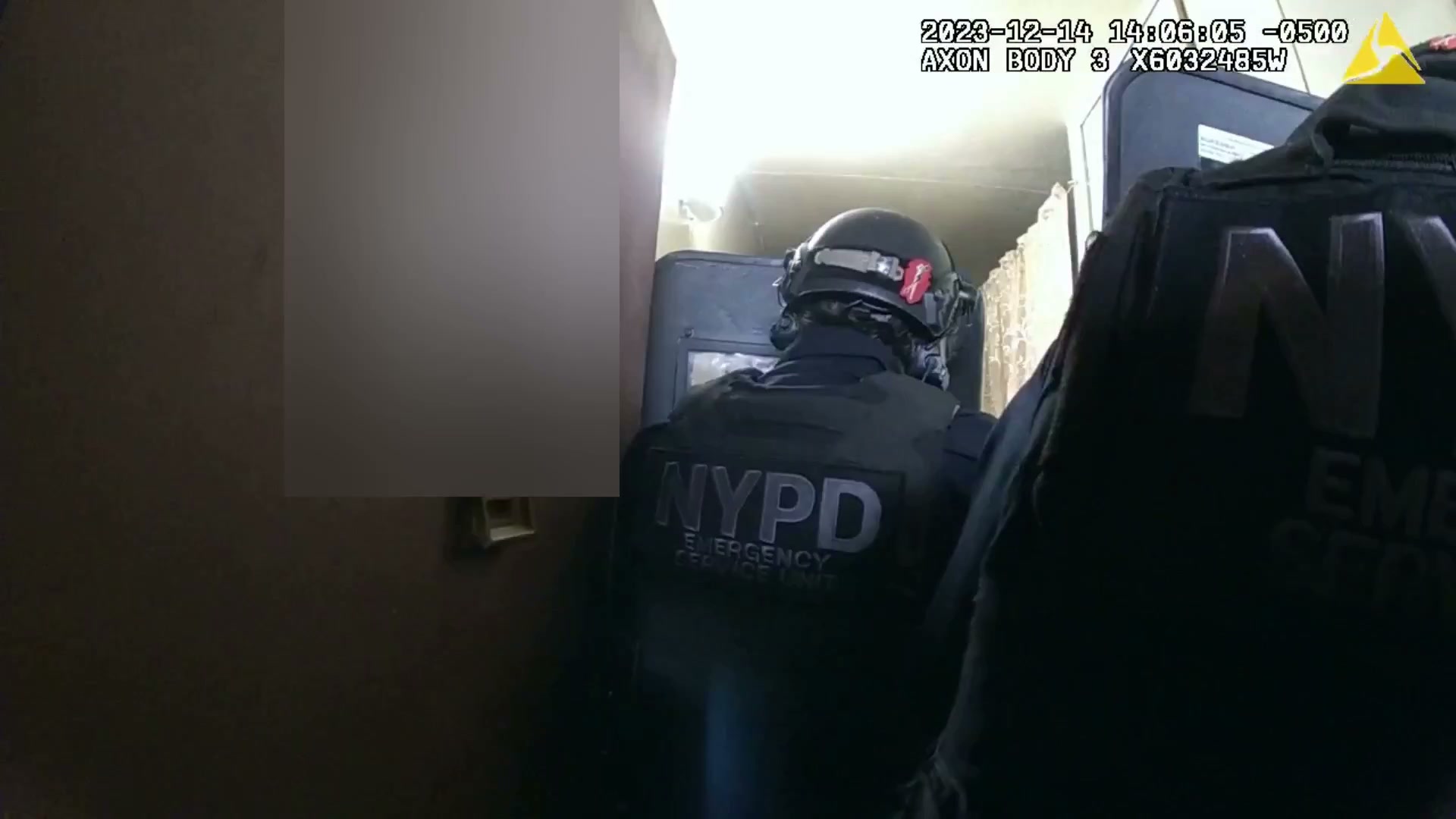 Procedural Explanation